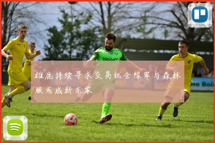 雄鹿持续寻求交易机会绿军与森林狼或成新东家