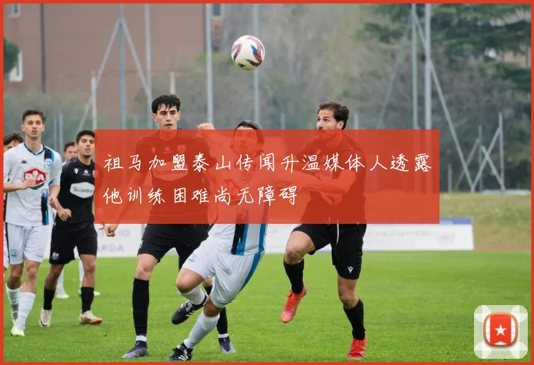 祖马加盟泰山传闻升温媒体人透露他训练困难尚无障碍